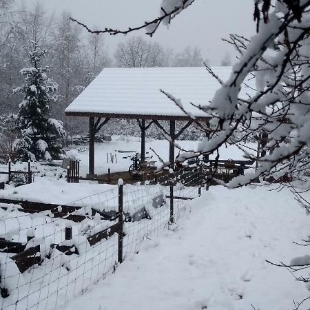 Agroturystyka U Maciejowej Villa Ланкорона Екстериор снимка