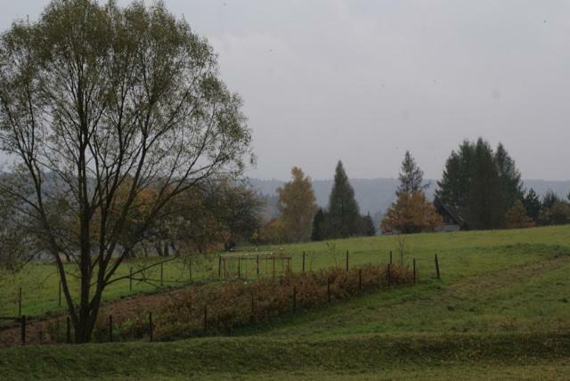 Agroturystyka U Maciejowej Villa Ланкорона Екстериор снимка
