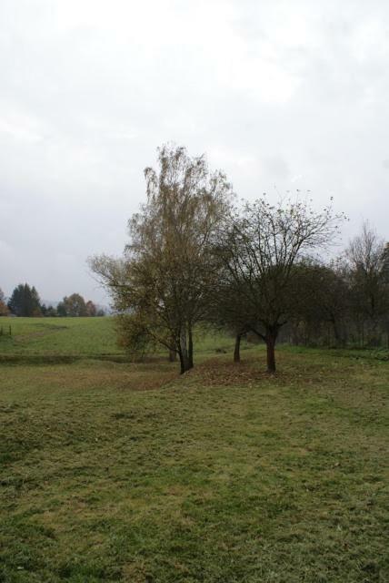 Agroturystyka U Maciejowej Villa Ланкорона Екстериор снимка