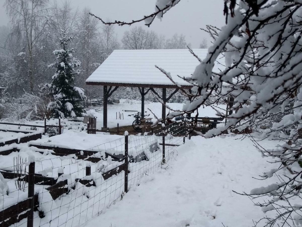 Agroturystyka U Maciejowej Villa Ланкорона Екстериор снимка